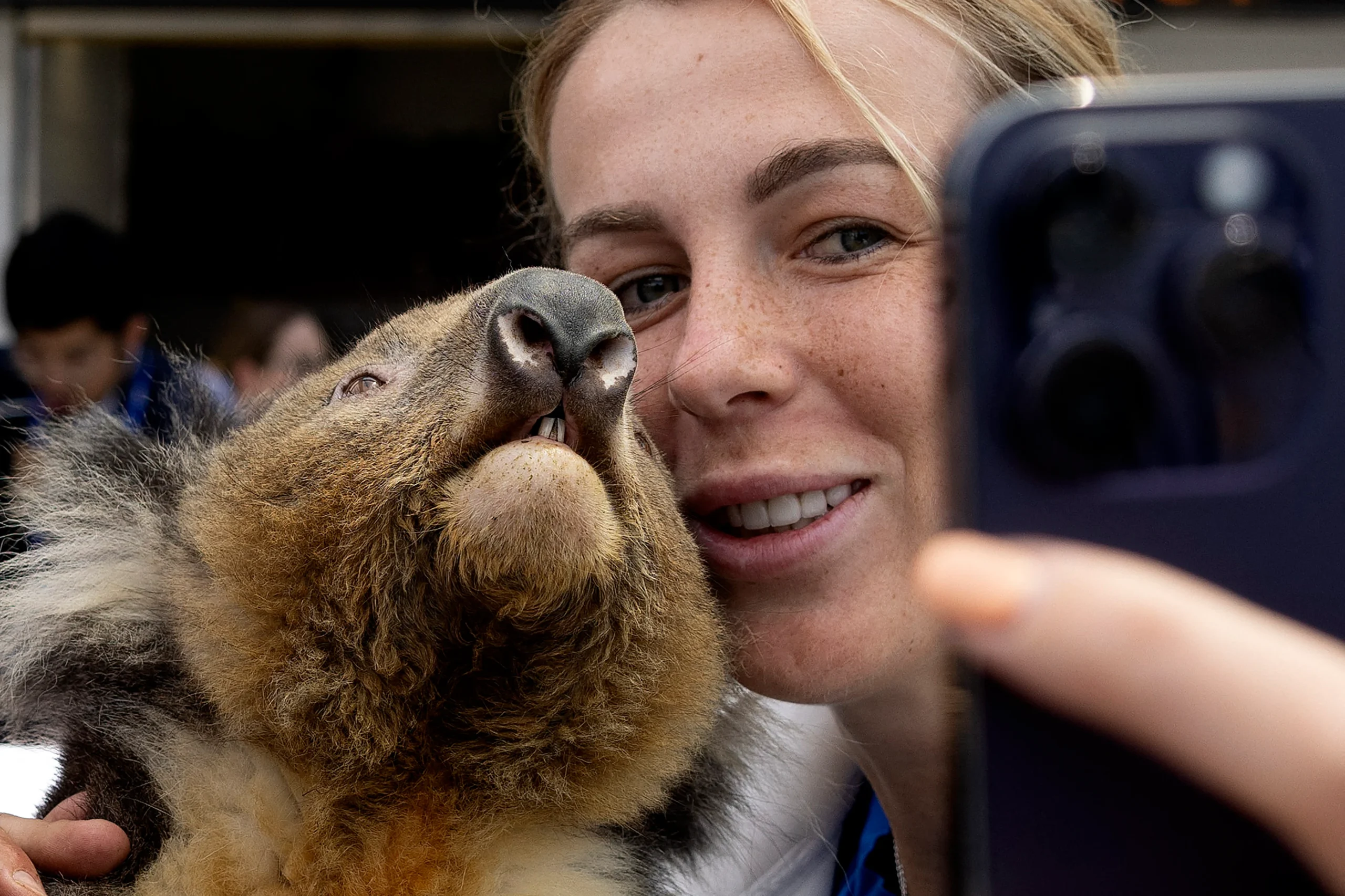 Animals Getting Interviewed In Odisha, Selfies and Pictures Featuring Wild Animals Can Get You ...