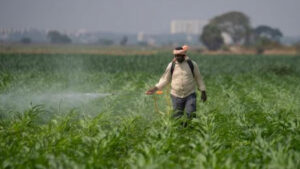 Odisha To Pre-Position Fertilizers, Seeds With Rs 1360 Cr Revolving Fund