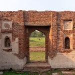 Only 294 of Odisha’s 3,000-plus archeological monuments declared protected