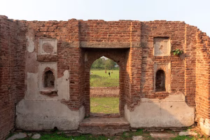 Only 294 of Odisha’s 3,000-plus archeological monuments declared protected
