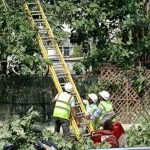 TPCODL & TPSODL Activate Comprehensive Plan To Safeguard Power Infrastructure In Odisha